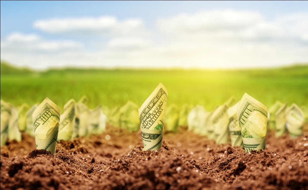13 Tips For Managing Your Farm Finances Business
