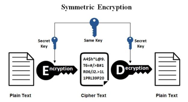 Read all about the various network cryptographic techniques.